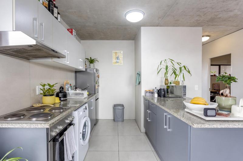 To Let 2 Bedroom Property for Rent in Observatory Western Cape